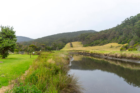 Beautiful nature view of Kennett River Nature Walk, Victoria, Australia.の写真素材