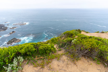 Cape Schanck is the southernmost tip of the Mornington Peninsula, Melbourne, Victoria, Australia.の写真素材