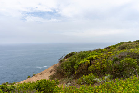 Cape Schanck is the southernmost tip of the Mornington Peninsula, Melbourne, Victoria, Australia.の写真素材