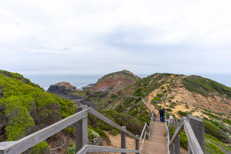 Cape Schanck is the southernmost tip of the Mornington Peninsula, Melbourne, Victoria, Australia.の写真素材