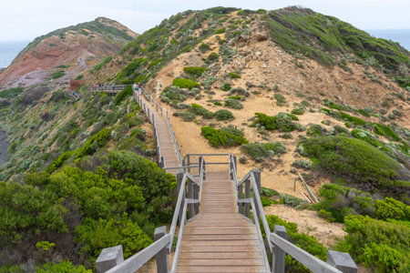 Cape Schanck is the southernmost tip of the Mornington Peninsula, Melbourne, Victoria, Australia.の写真素材