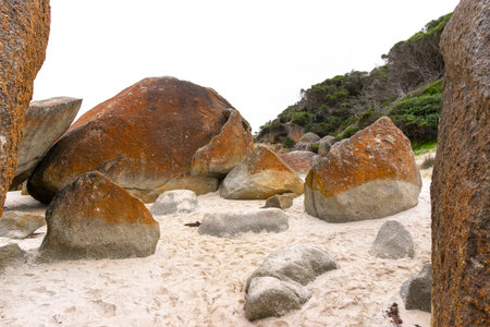 A big red stone at the Squeaky Beach in Wilsons Promontory National Park.の写真素材