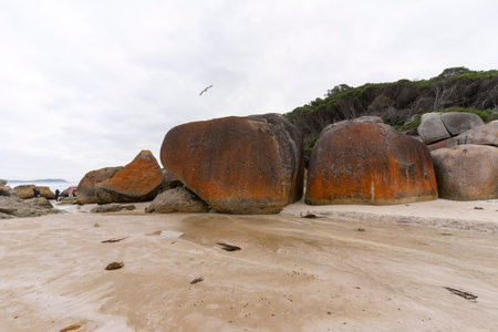 A big red stone at the Squeaky Beach in Wilsons Promontory National Park.の写真素材