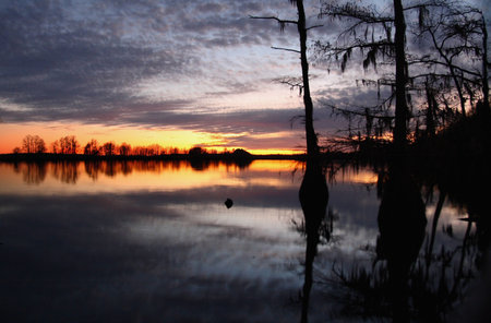 delta sunsetの写真素材