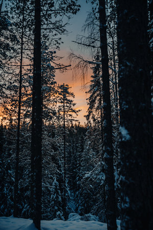 Sunset over the Korouoma Canyon, Lapland and snowy forests in the arcticの写真素材