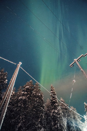 Green northern lights above power lines and snowy forest in Rovaniemi, Laplandの写真素材