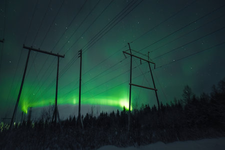 Green aurora borealis above forest in Rovaniemi, Laplandの写真素材