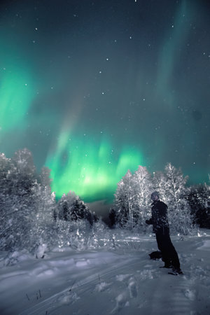 Man looking up at aurora from snowy forest in Rovaniemi, Laplandの写真素材