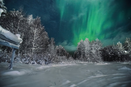 Northern lights above winter wonderland forest in Rovaniemi, Laplandの写真素材