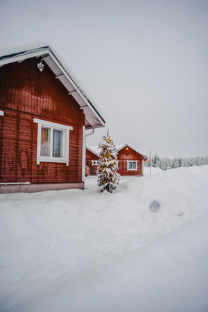 Red houses in the snow with Christmas Tree in Rovaniemi, Laplandの写真素材
