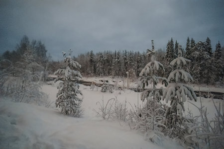Arctic river through snowy winter forest in Rovaniemi, Laplandの写真素材