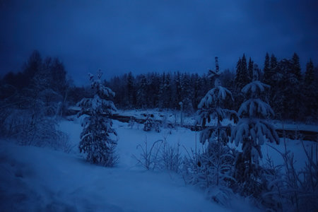 Polar night over Vikakongas snowy arctic river in Rovaniemi, Laplandの写真素材