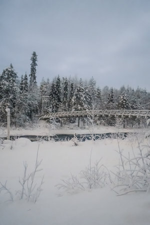 Snow covered wooden bridge over river in winter forest in Rovaniemi, Laplandの写真素材