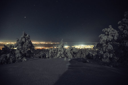 Rovaniemi city lights on the horizon at night in snowy winter forestの写真素材