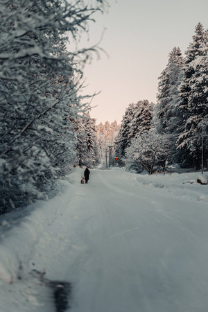 Woman walking dog down snowy street through forest in Rovaniemi, Laplandの写真素材