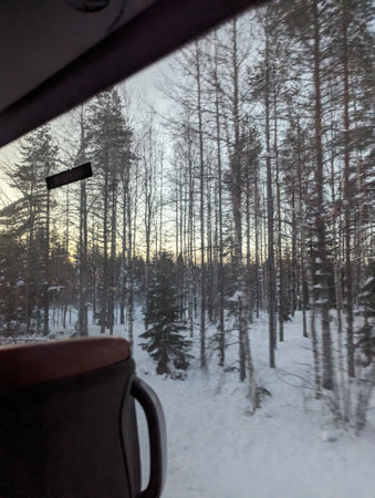 View out bus window of trees in the Lappish wilderness in Rovaniemi, Laplandの写真素材