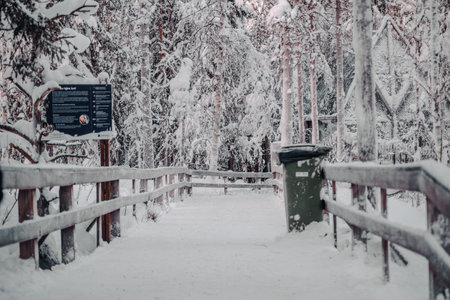 Path with wooden barriers through snowy forest in Ranua, Laplandの写真素材