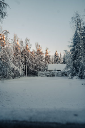 Snowy clearing next to animal enclosure in forest in Ranua, Laplandの写真素材