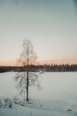 Small hut in snowy forest clearing at sunrise in Ranua, Laplandの写真素材