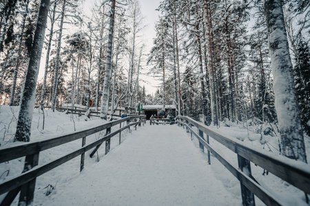 Wooden walkway to hut in forest covered in snow in Ranua, Laplandの写真素材