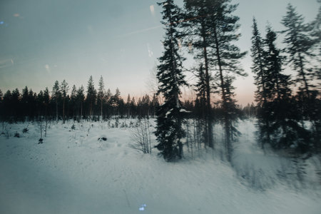 Trees next to snowy frozen lake shot from coach window in Ranua, Laplandの写真素材