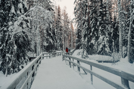 Wooden walkway through snowy trees in winter forest in Ranua, Laplandの写真素材