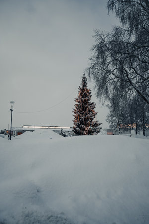 Christmas tree with lights in snow in winter in Rovaniemi, Laplandの写真素材