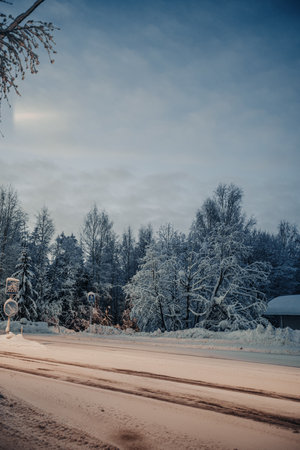 Snowy trees at twilight next to road in Rovaniemi, Laplandの写真素材