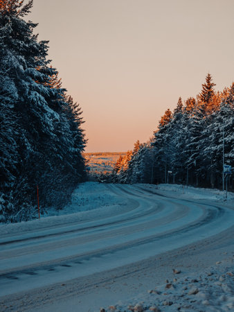 Lapland wilderness with snowy forest at sunrise outside Rovaniemiの写真素材