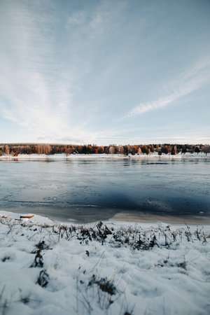 Autumn forest in Ounasvaara shot across river in Rovaniemi, Laplandの写真素材
