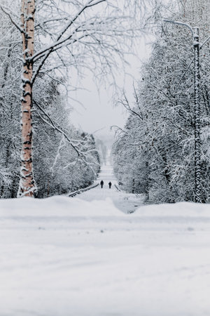Long snowy road leading to Rovaniemi town centre in winter in Laplandの写真素材