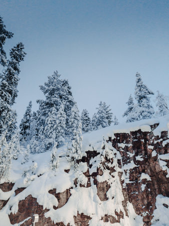 Snowy trees above small cliff in Rovaniemi, Lapland in winterの写真素材