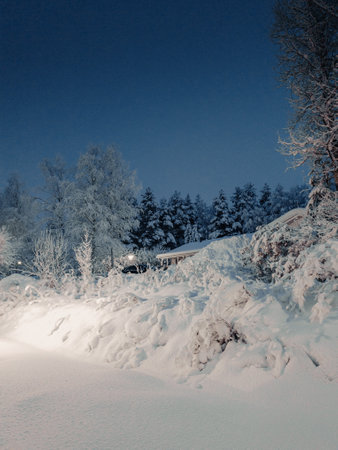 Snowy forests at night around house in Rovaniemi, Lapland in winterの写真素材