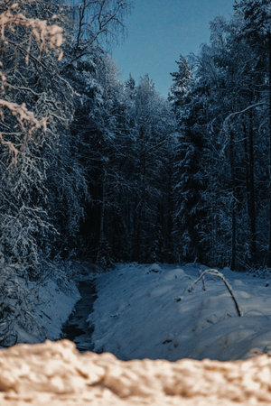 Small stream through snowy arctic forest in Rovaniemi, Laplandの写真素材