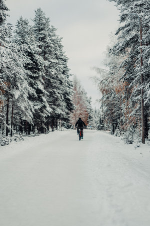 Man cycling down snowy road in Ounasvaara forest in Rovaniemi, Laplandの写真素材
