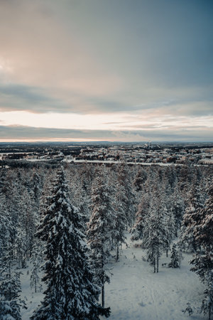 Rovaniemi city skyline view from snowy winter forest in Ounasvaara in Laplandの写真素材