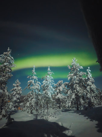 Strong aurora borealis above snowy winter forest in Rovaniemi, Laplandの写真素材
