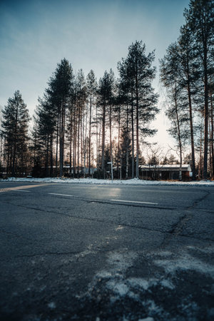 Sunshine through trees over street in autumn in Rovaniemi, Laplandの写真素材