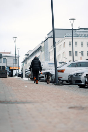 Woman walking dog on pavement in Rovaniemi, Laplandの写真素材