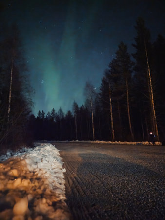 Aurora borealis in starry sky above forest in Rovaniemi, Lapland in autumnの写真素材