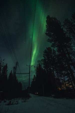 Bright northern lights above power lines in Syvasenvaara in Rovaniemi, Laplandの写真素材
