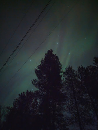 Aurora borealis in Rovaniemi, Lapland above forest in autumnの写真素材