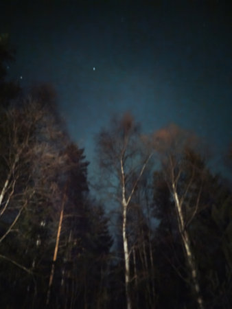 Night sky above forest in Rovaniemi, Lapland in autumnの写真素材