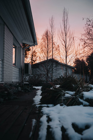 Sunrise pink sky behind trees next to house in Rovaniemi, Laplandの写真素材