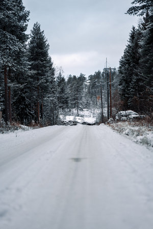 Snowy road through forest in Syvasenvaara in Rovaniemi, Laplandの写真素材