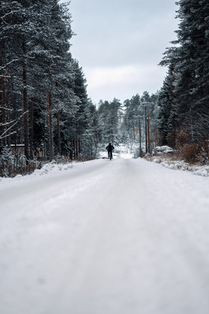 Man cycling on snowy road through forest in Rovaniemi, Laplandの写真素材
