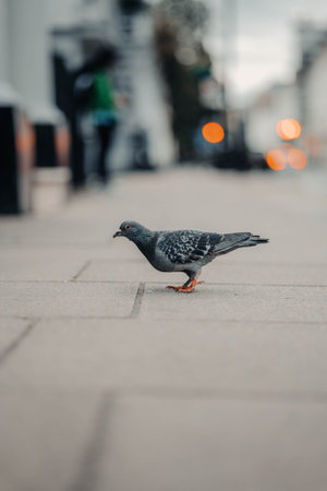 Shot on 30th of September 2023 on the streets of London, England.の写真素材