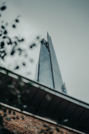 Top of The Shard behind leaves in London, UKの写真素材