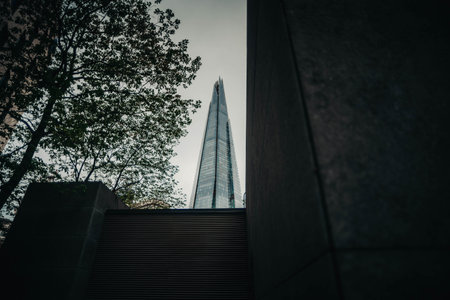 Top of The Shard in London, UK behind treesの写真素材