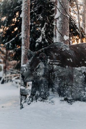 Wooden bear sculpture in the snow in Ranua, Laplandの写真素材